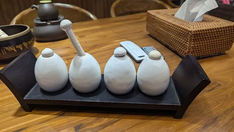 The Wellness Spa