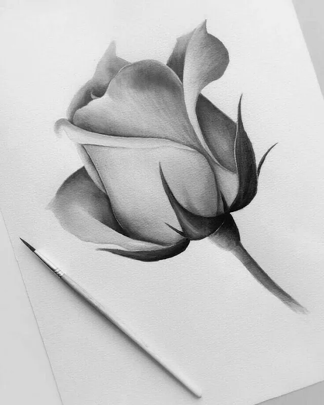 Inspire Drawing Painting Institute Online Offline Hyderabad