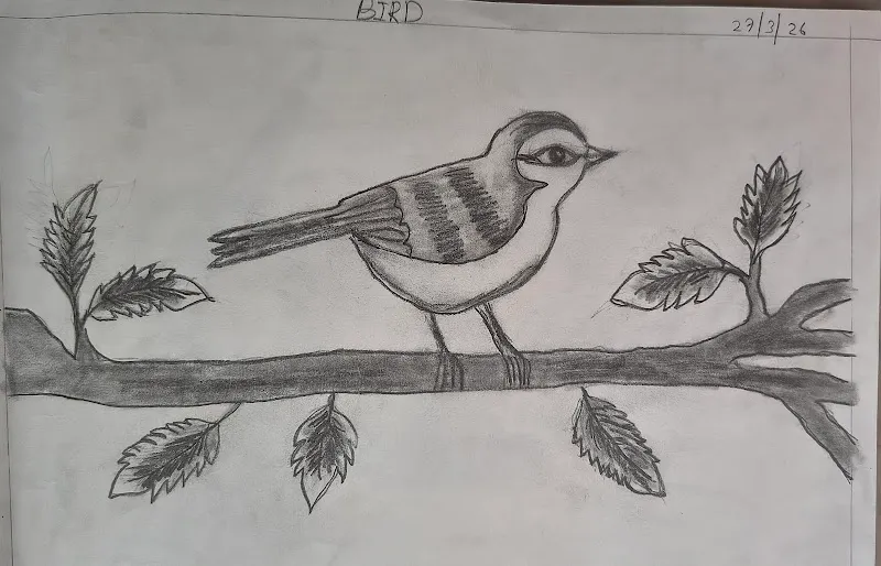 Inspire Drawing Painting Institute Online Offline Hyderabad