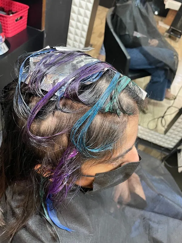 Eesha Rishi The Salon