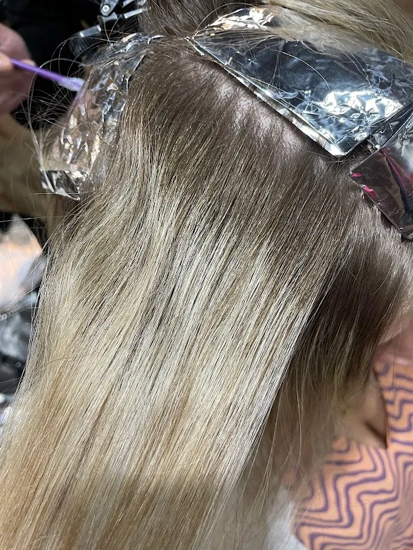 Eesha Rishi The Salon