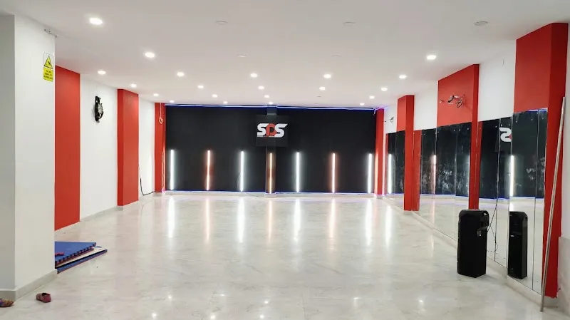 SEVERAL DANCE STUDIO - SDS
