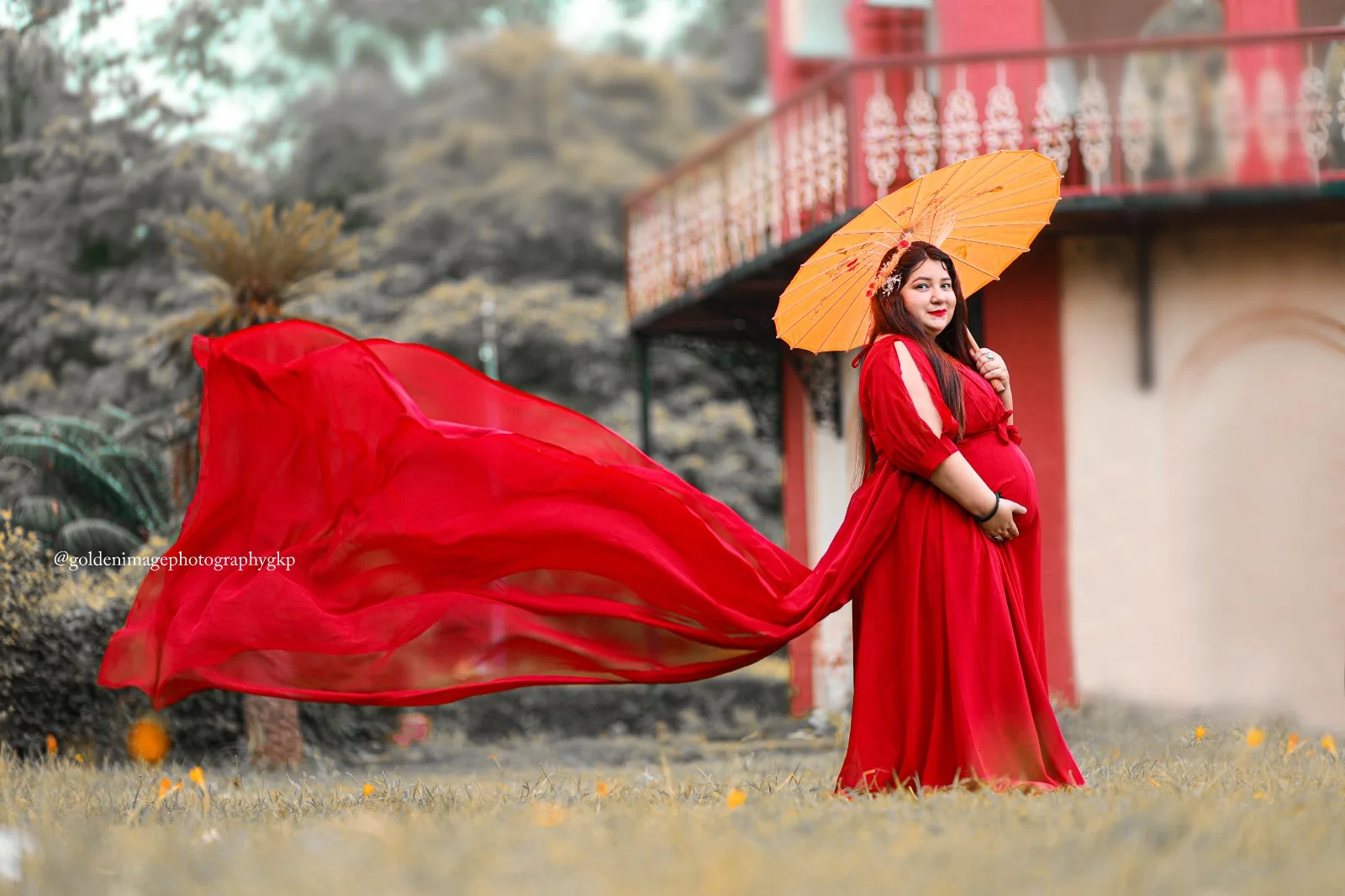 Golden Image Photography