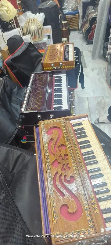 Waves Musicals