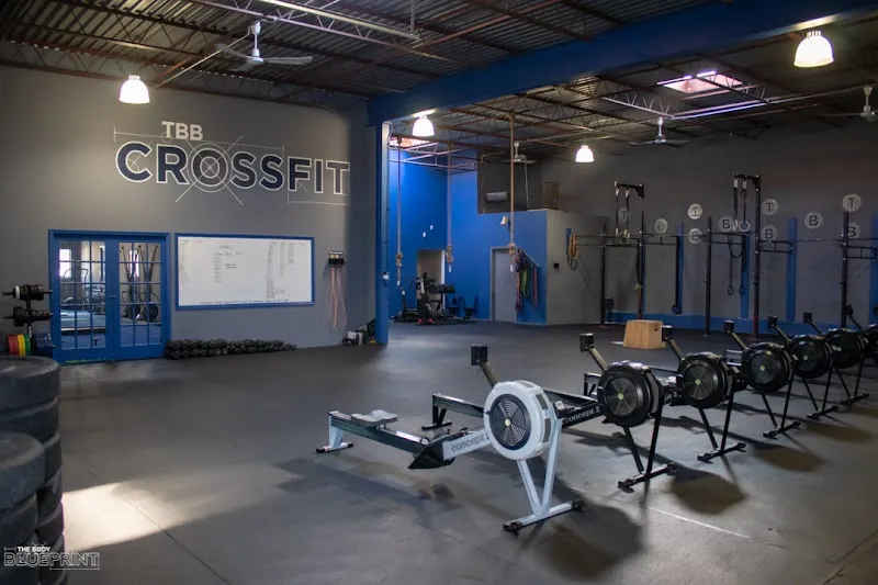 The Body Blueprint