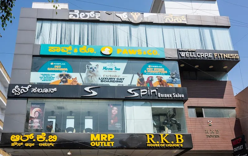 Spin Unisex Salon ( Kudlu Gate )