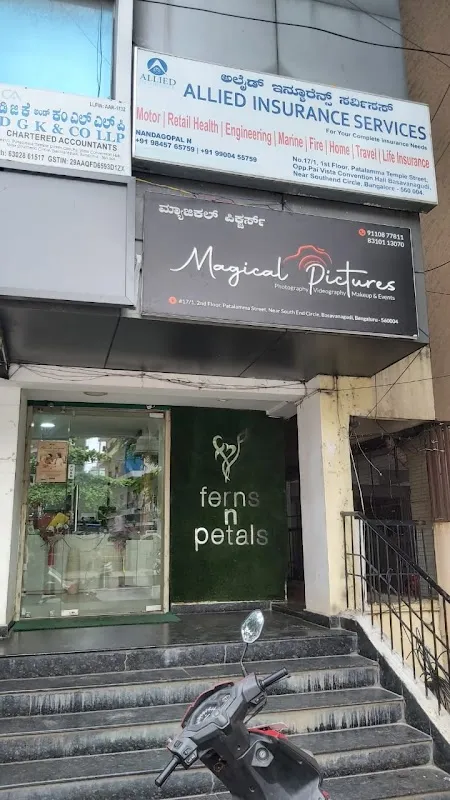 Magical Pictures Photography