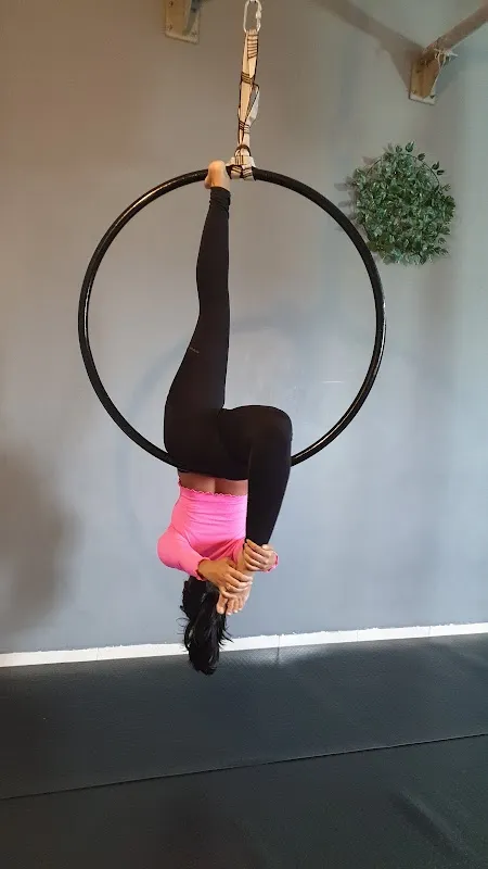 Flow 'N' Fly