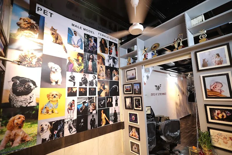Twf studios