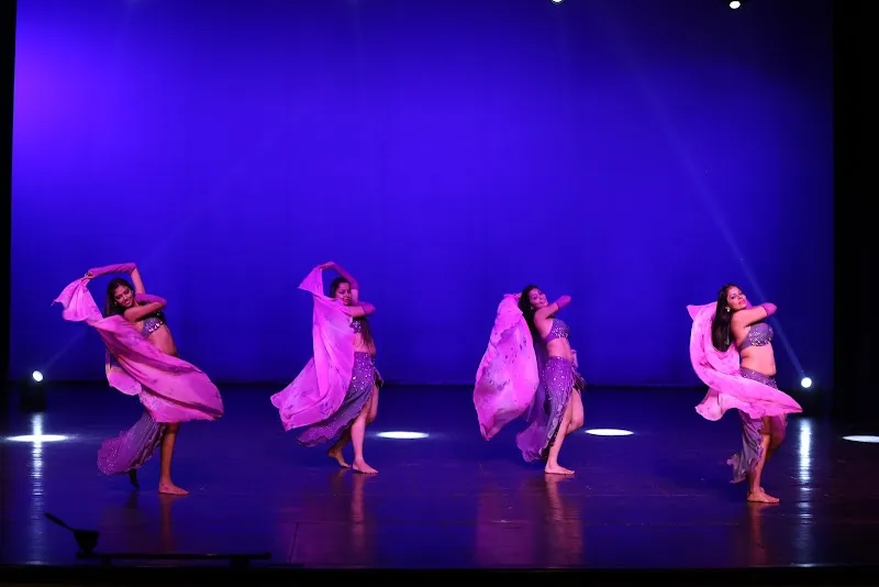Beats & Fusion Dance Studio (BFDS)