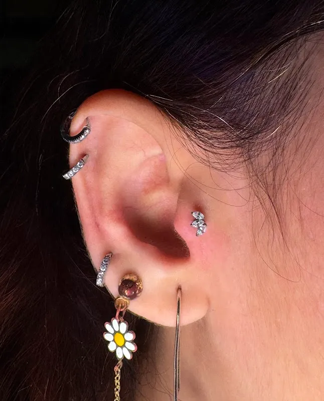 Ink literature tattoo studio & Professional Body Piercing