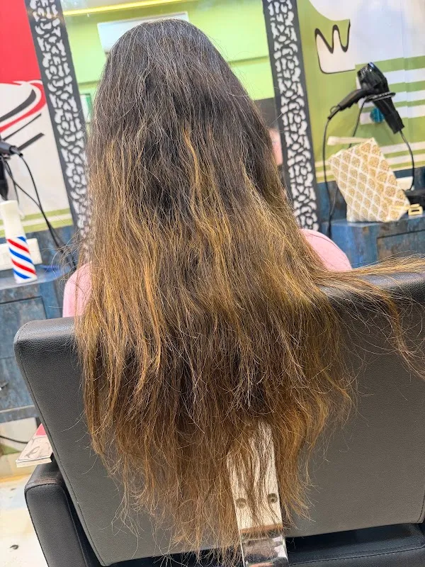 The Hair Studio