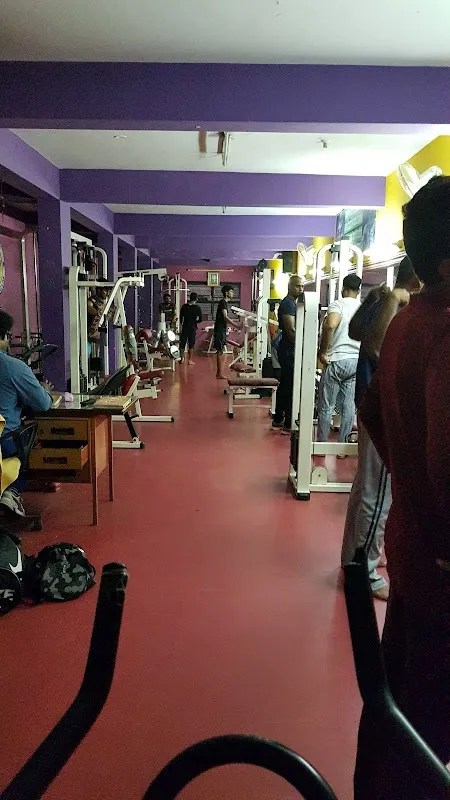 Arnold Gym