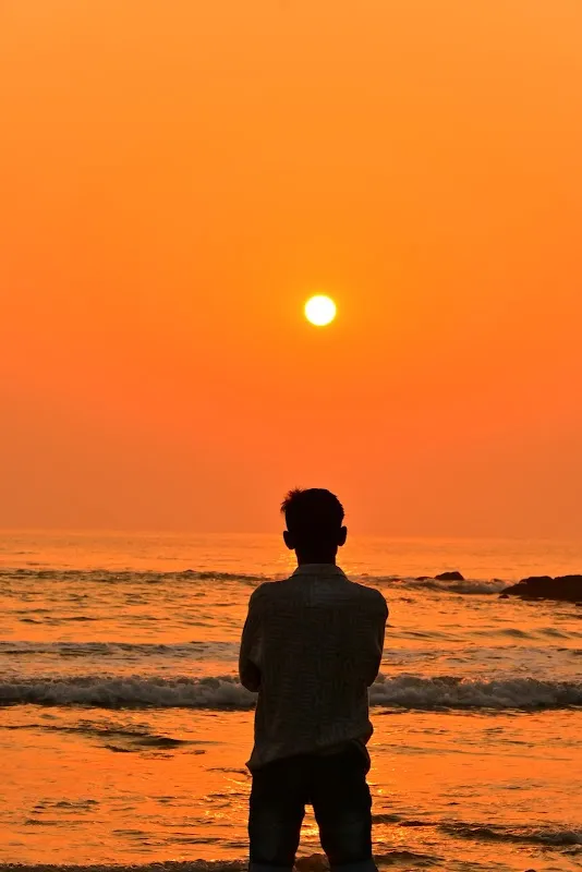 Ritesh roy