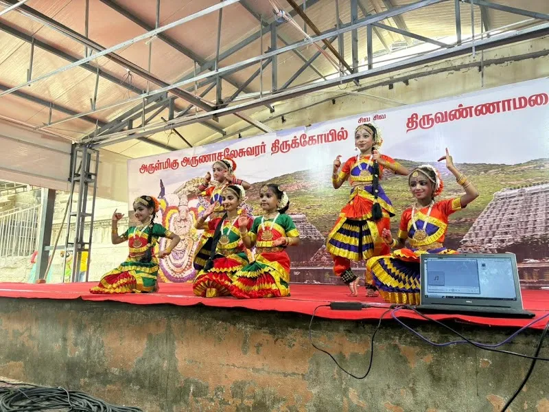 Nrityashree Sai Academy