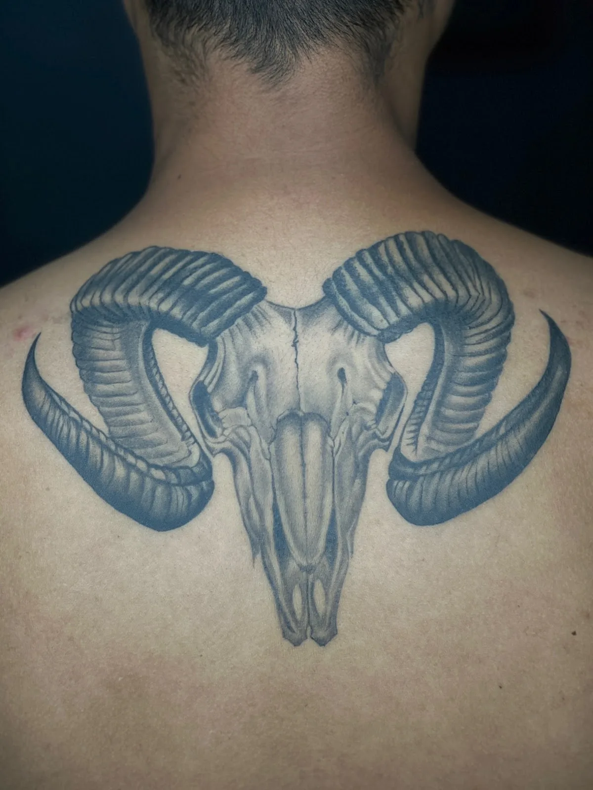 Sky tattoo studio