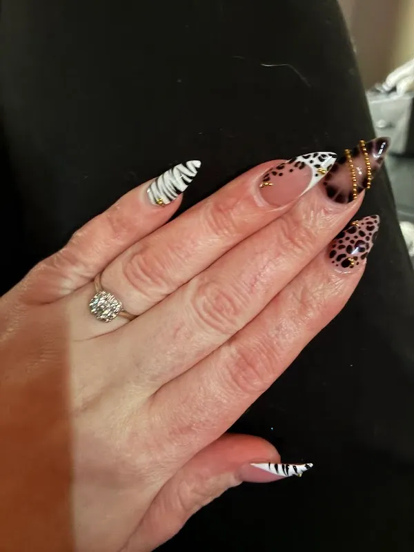 Bellissima Studio