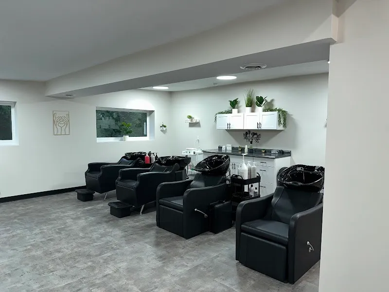 Bellissima Studio