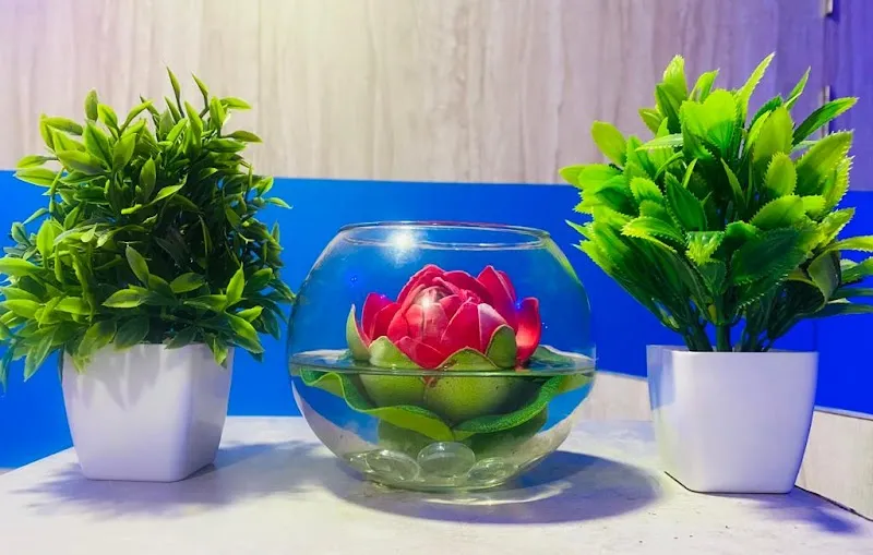 Lotus Thai Spa