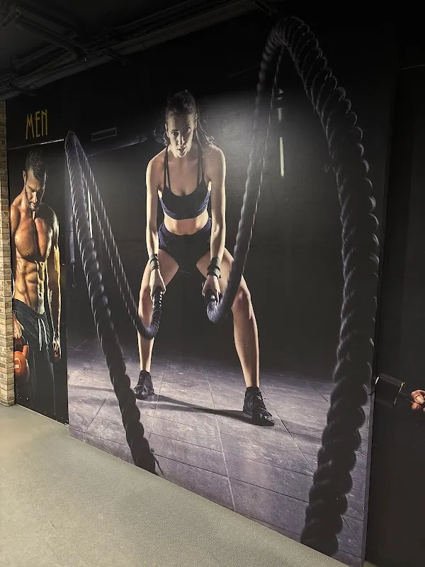 Welliesta Fitness (Best Gym, Fitness Studio)