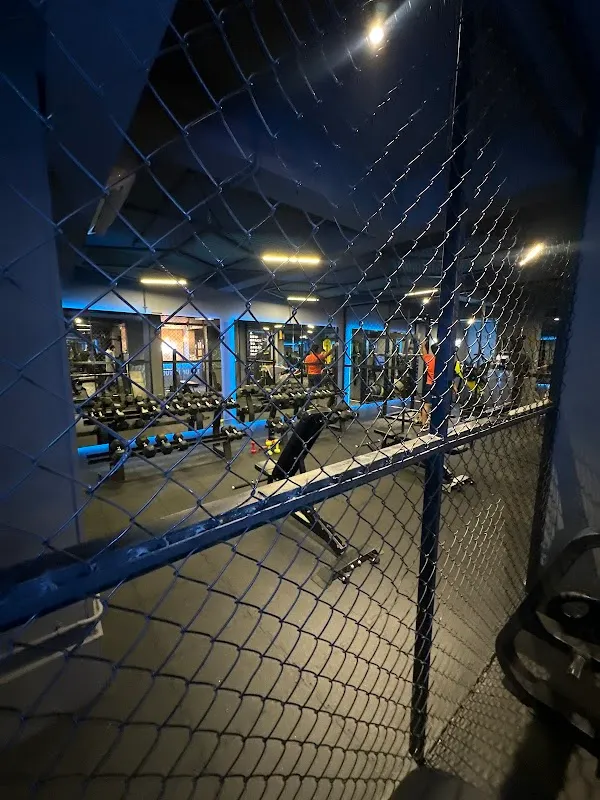 Align Fitness Studio