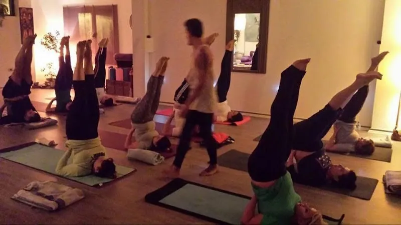 Urban yoga studio Tirane