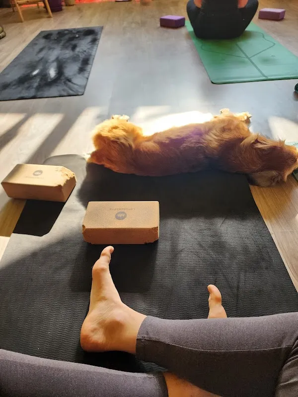 Urban yoga studio Tirane