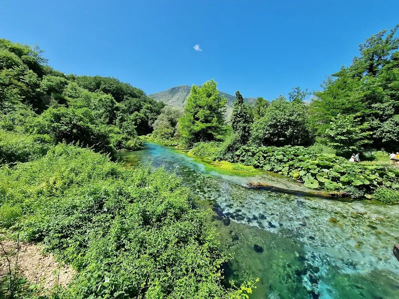 Viva Studio Albania