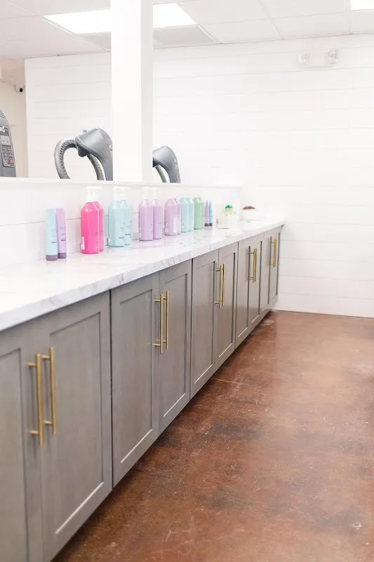 The Greenville Hair Bar