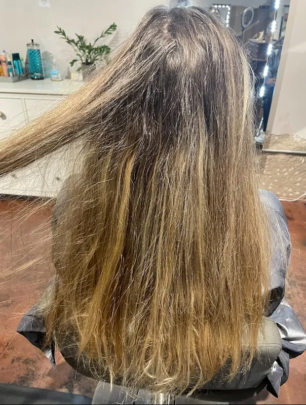 The Greenville Hair Bar