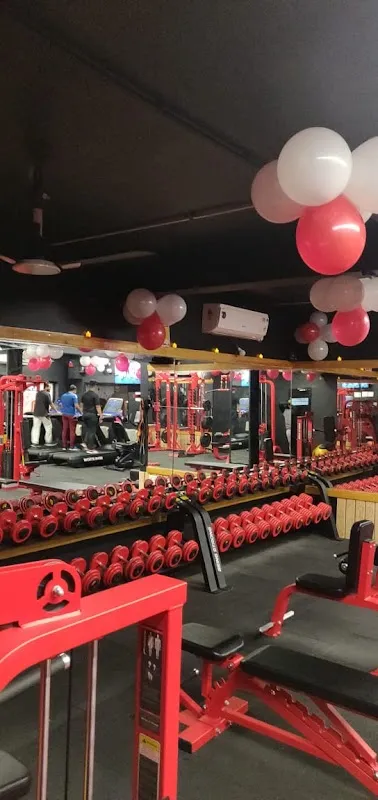 THE MP STUDIO
