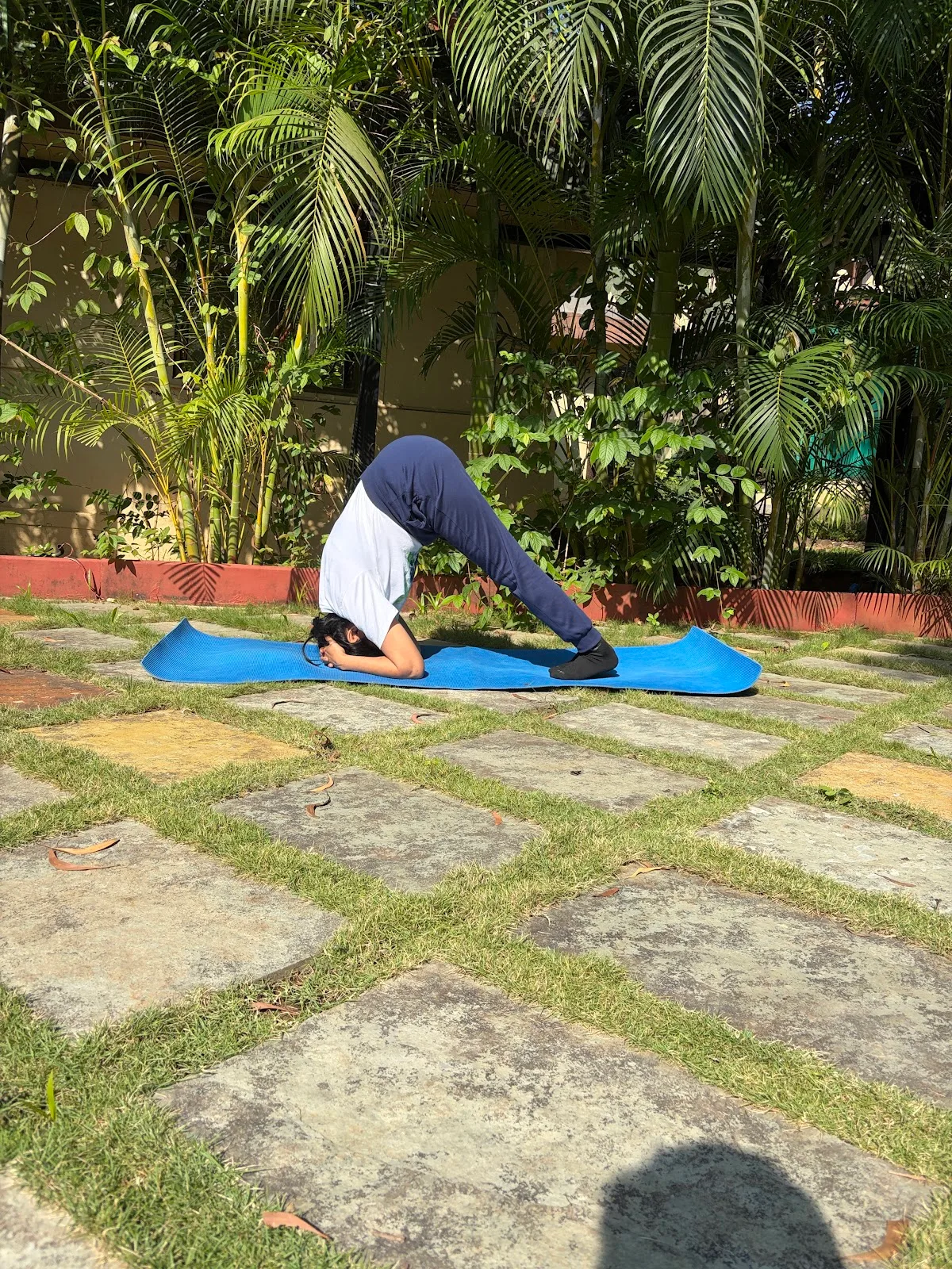 Niyamit Yog