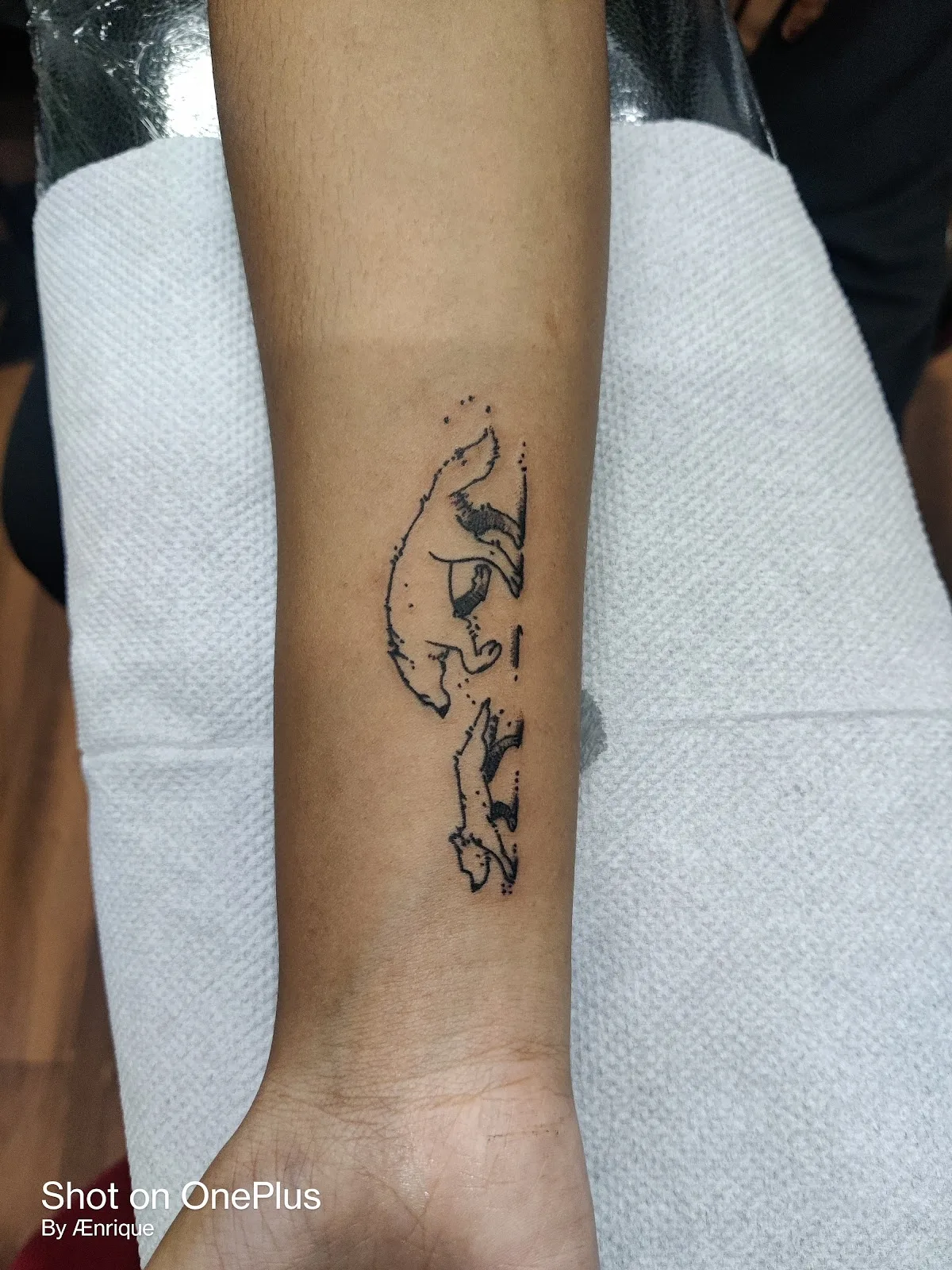 DECCAN TATTOO STUDIO