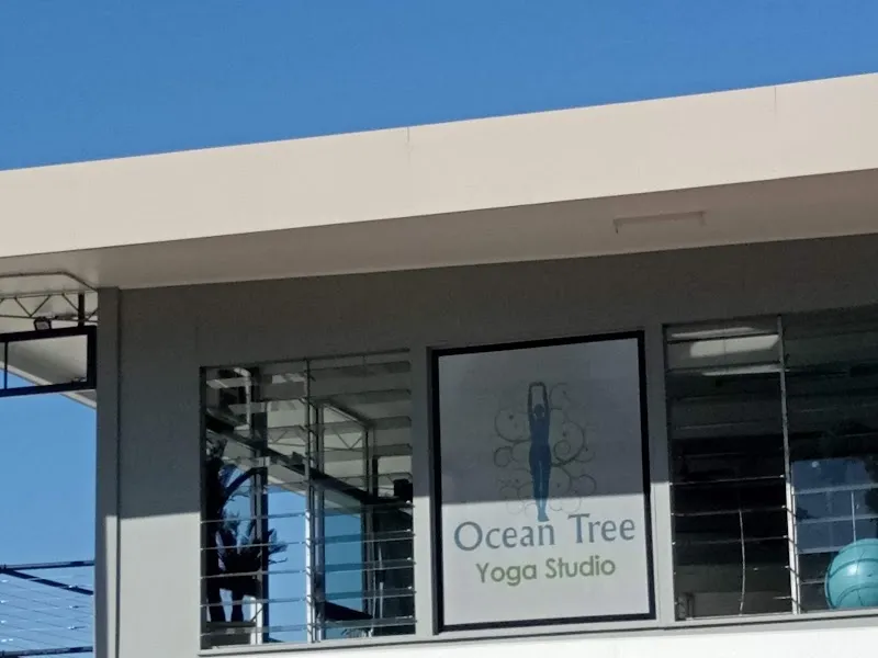 Ocean Tree Yoga Studio