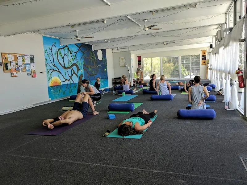 Ocean Tree Yoga Studio
