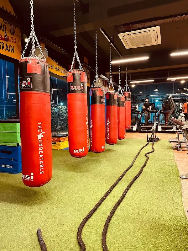 Project Fitness Gym