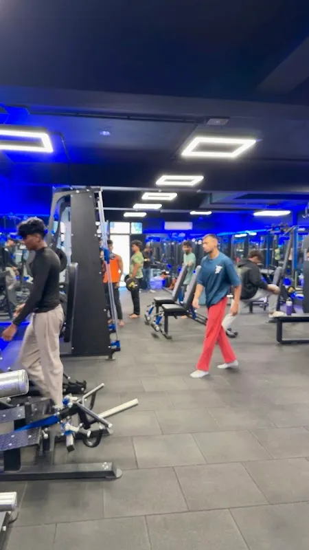 Blu wellness