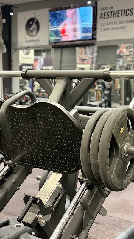 Aesthetic Gym