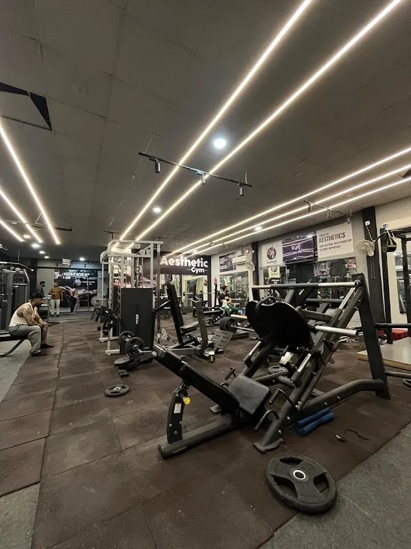 Aesthetic Gym