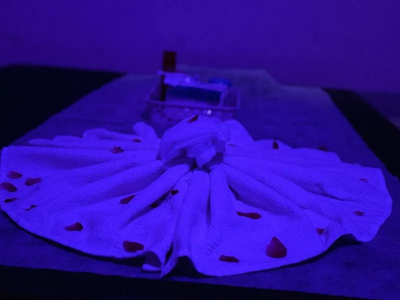 F K STAR WELLNESS SPA