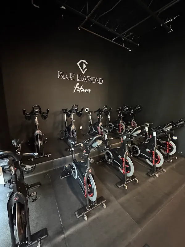 Blue Diamond Fitness 2.0