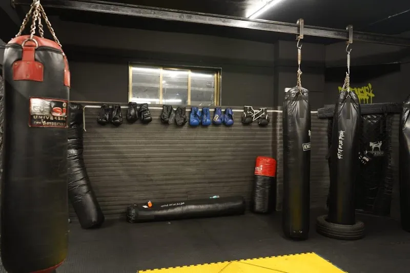 Knockdown fitness center
