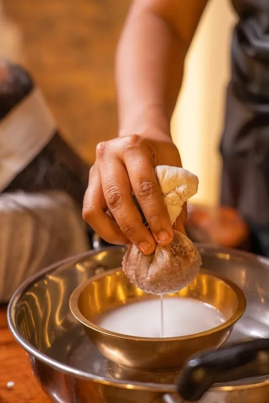 Vedvana Wellness - Ayurveda Hospital & Wellness Center