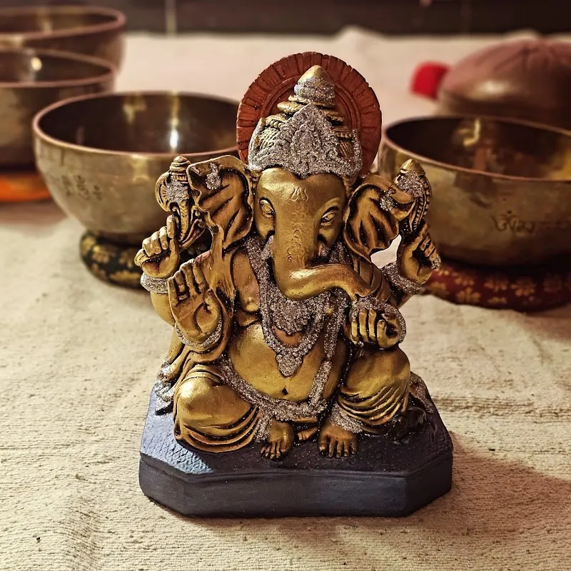 Turiya Yog Movement By Surabhi