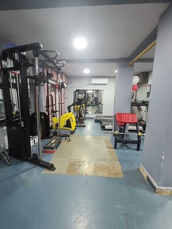 Muscle Studio Gym