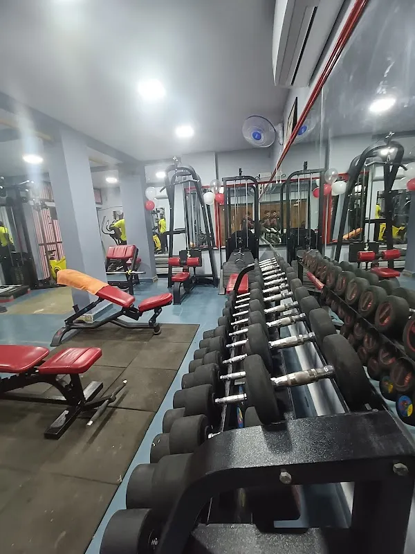 Muscle Studio Gym