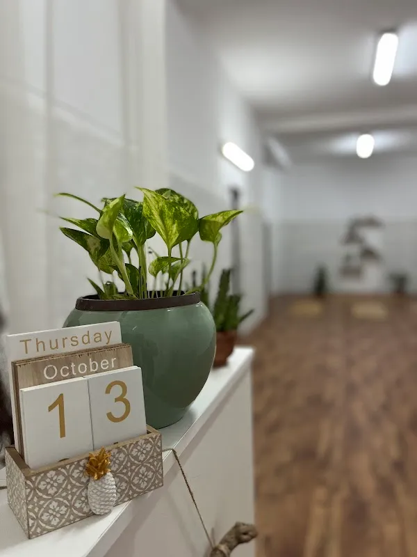 You Yoga Studio / Centre De Yoga Pour Des Cours De Yoga Alger/