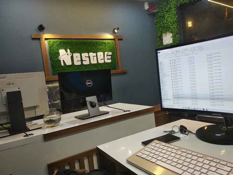 NESTEE FILM PRODUCTION