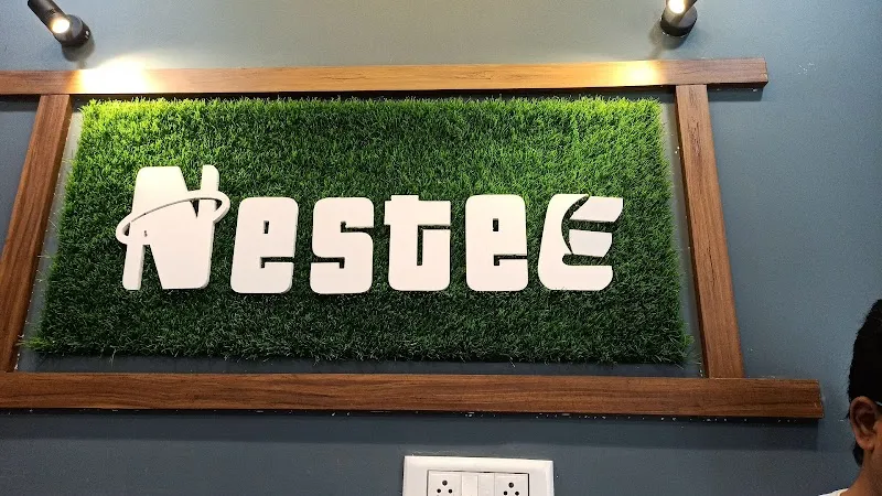 NESTEE FILM PRODUCTION