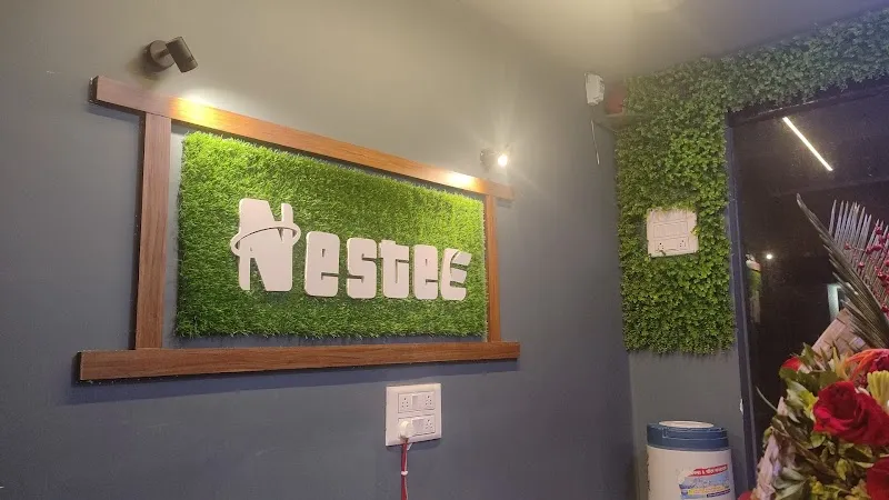 NESTEE FILM PRODUCTION